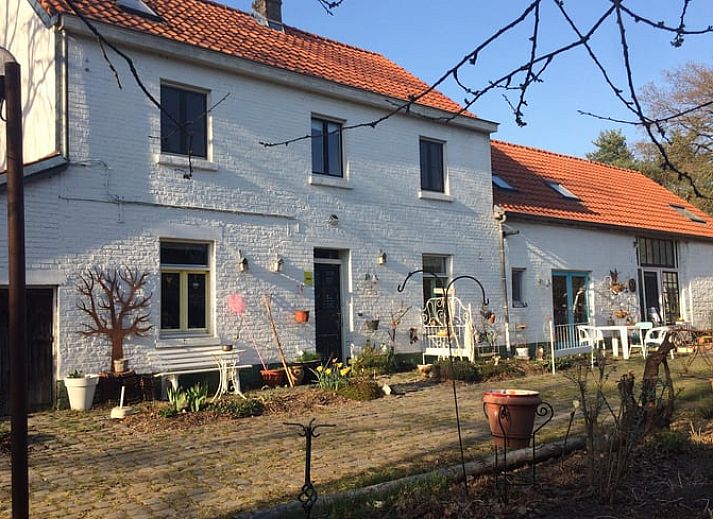 Guest house 056305 • Holiday property Limburg • Vakantiehuisje in Genk 