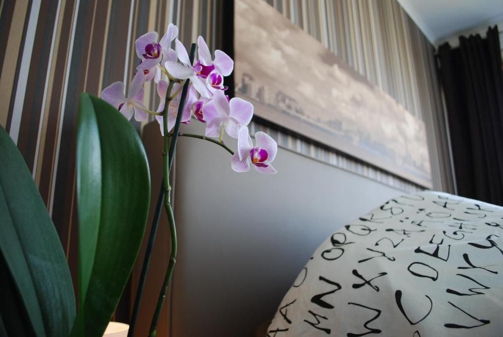 Guest house 0104105 - Apartment Antwerp - Apartment View of Antwerp