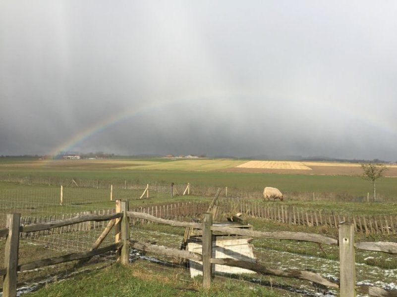 Unterkunft 0110503 - Ferienhaus Westflandern - Vakantiehuisje in Dranouter