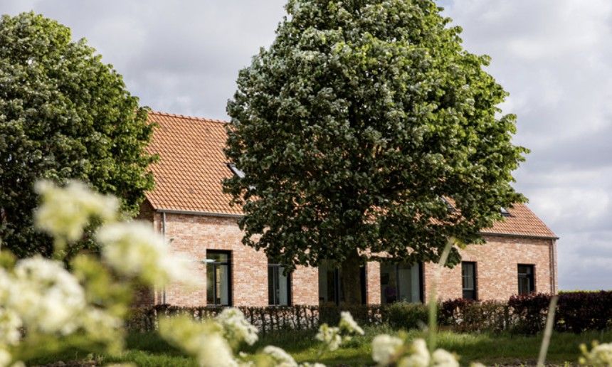 Ferienhaus 't hov in Passchendaele, umgeben von ueppiger Natur und schattigen Baeumen.