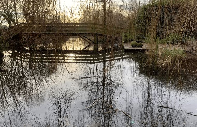 Guest house 011305 - Holiday property West Flanders - Huisje in Alveringem