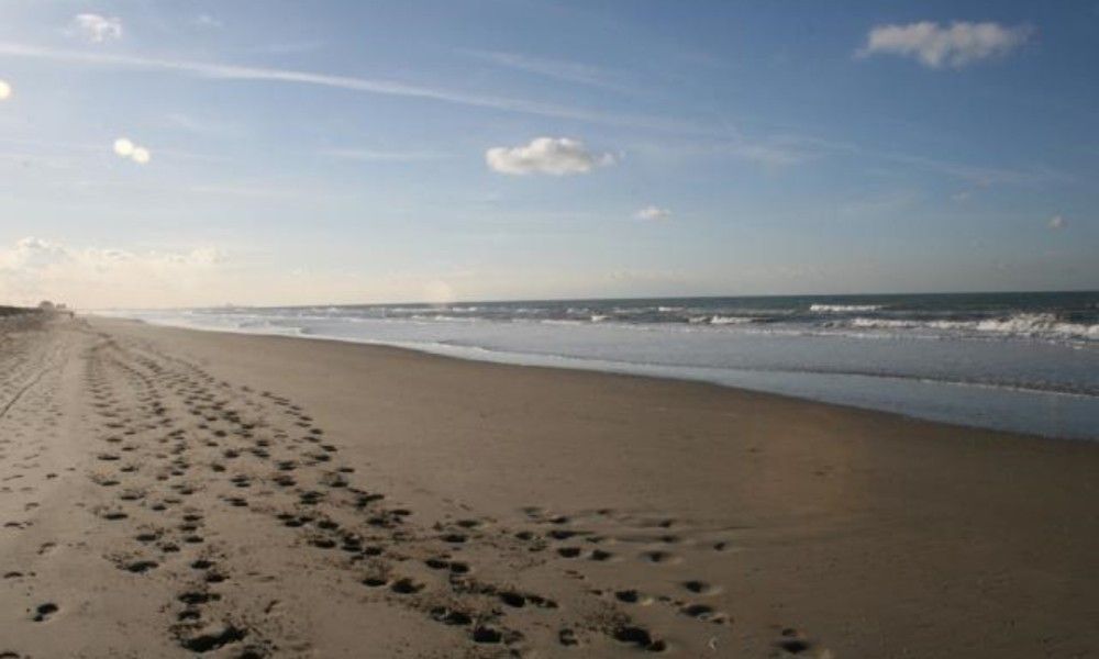 Verblijf 0115604 - Vakantiewoning Belgische kust - Duinendaele 213