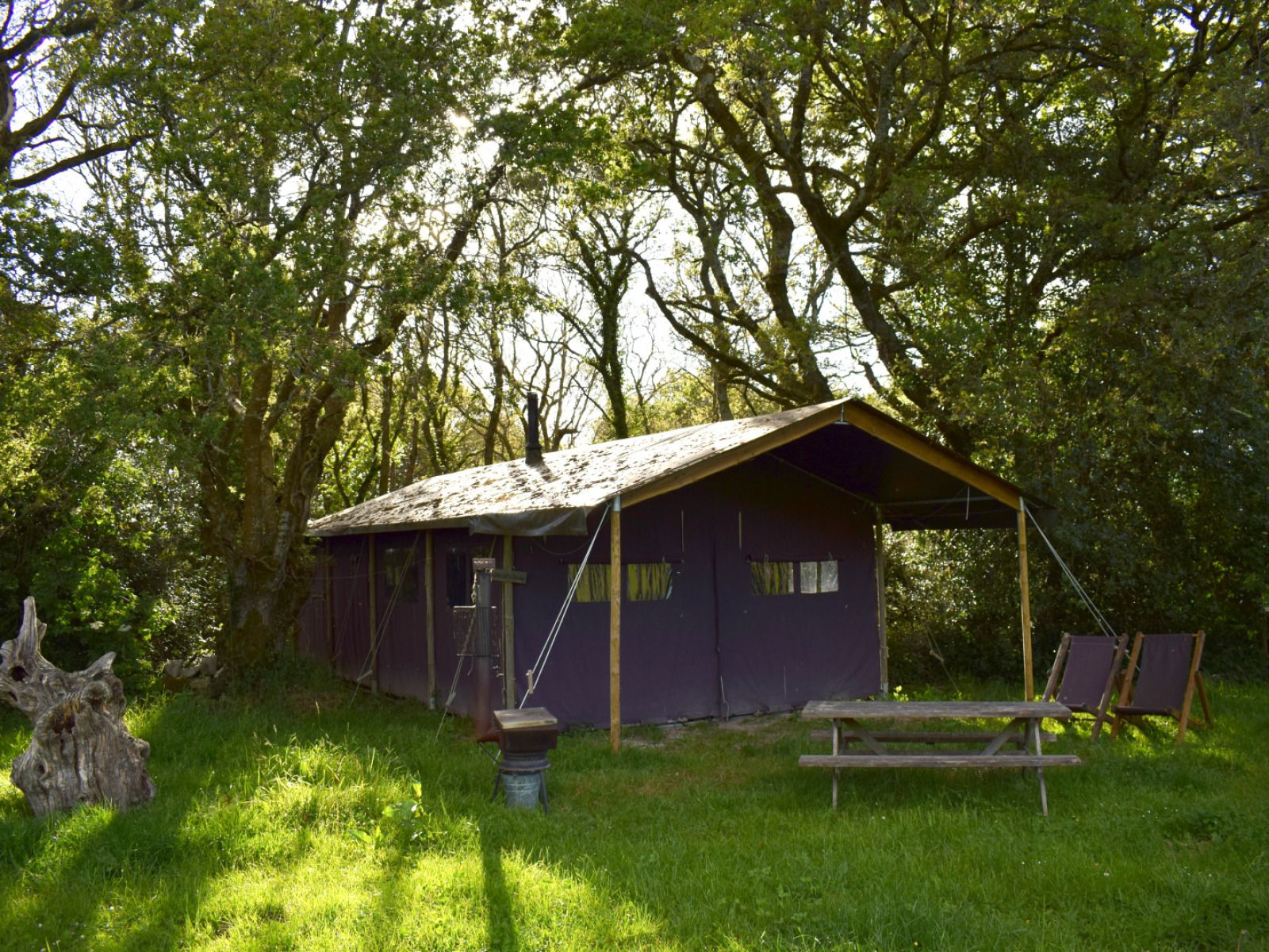 Zeltcottage mit privater Warmwasserdusche im Zelt, gelegen im bewaldeten Poperinge, Westflandern, Belgien. Perfekt fuer ein Glamping-Erlebnis.