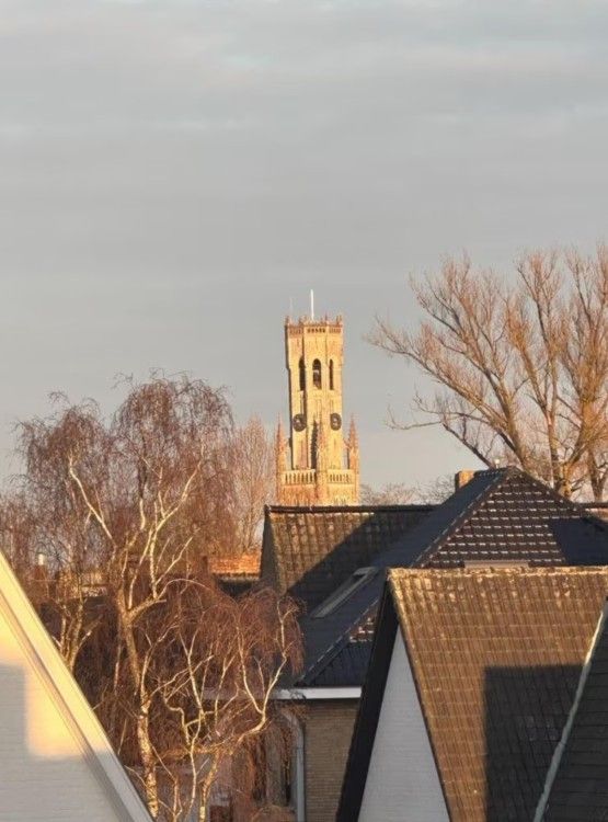 Blick auf den historischen Turm von Flat Memling in Sint-Andries, Westflandern, Belgien, umgeben von baumbestandenen Daechern.