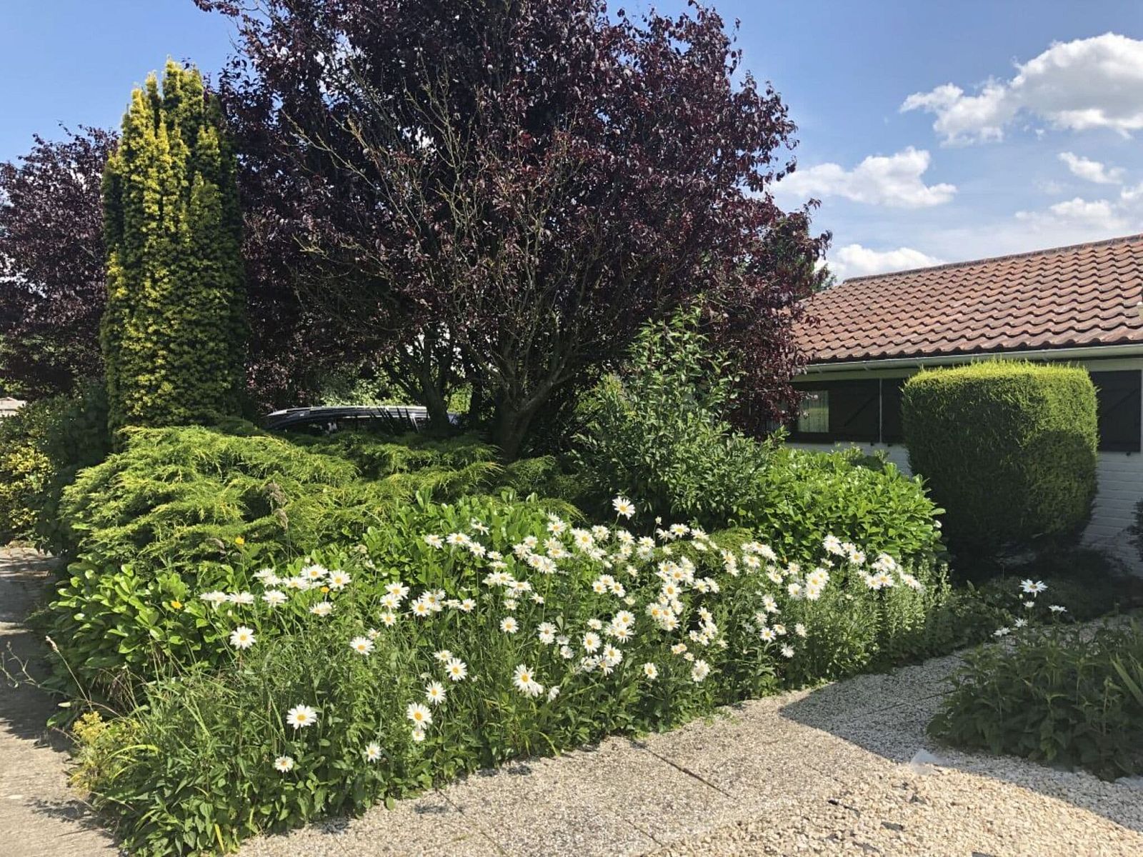 Unterkunft 013912 - Appartement Westflandern - 186075