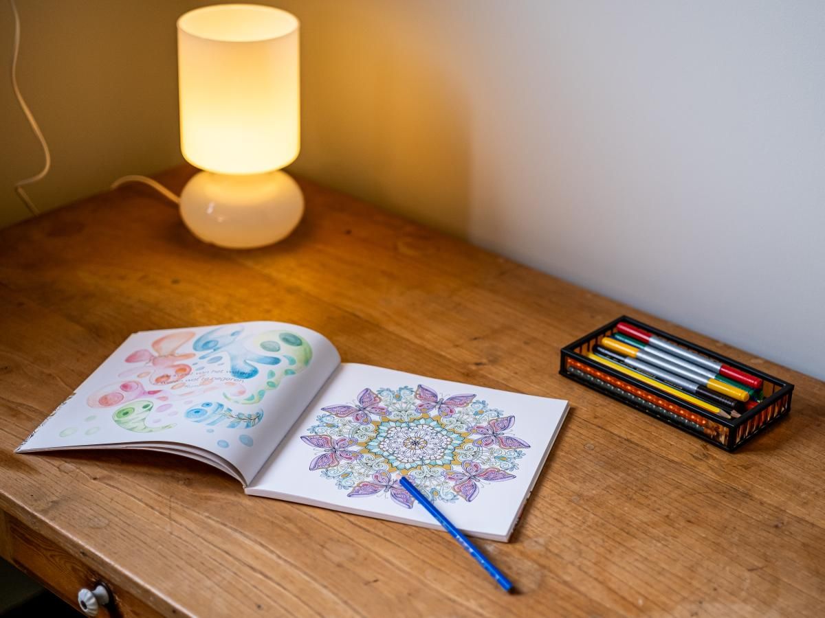 Guest house 015318 - Holiday property West Flanders - La Terrasse