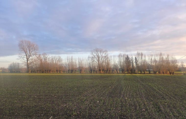 Unterkunft 016802 - Ferienhaus Westflandern - Huisje in Ruiselede