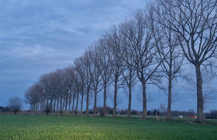 Unterkunft 016802 - Ferienhaus Westflandern - Huisje in Ruiselede