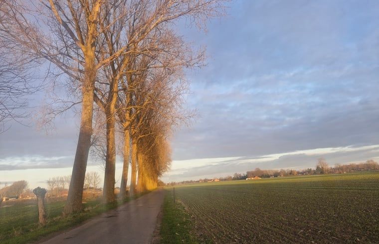 Unterkunft 016802 - Ferienhaus Westflandern - Huisje in Ruiselede