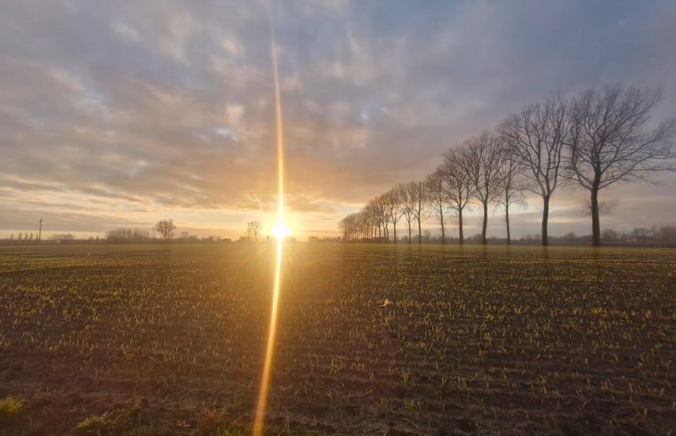 Unterkunft 016802 - Ferienhaus Westflandern - Huisje in Ruiselede