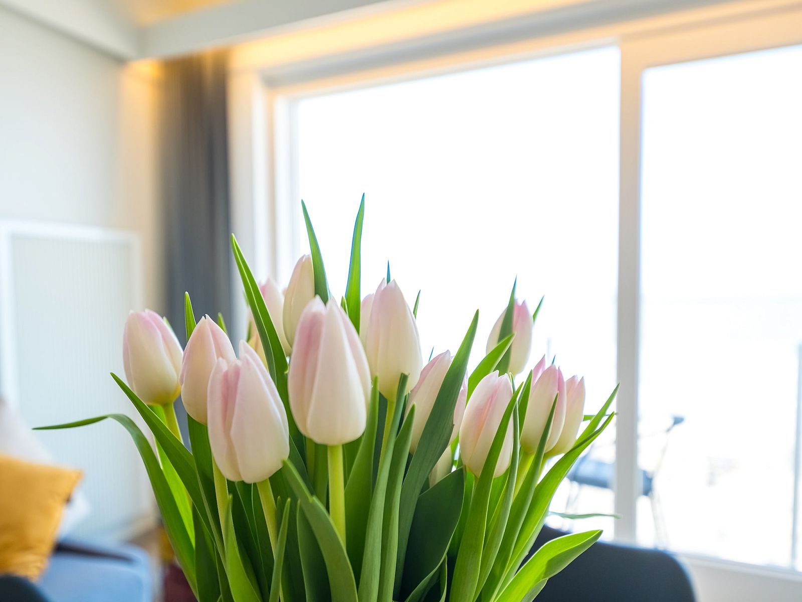 Unterkunft 0189209 - Appartement Westflandern - Emperador 0401