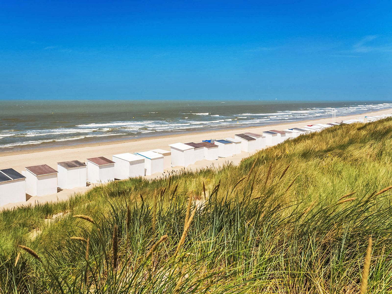 Unterkunft 019130 - Appartement Westflandern - Appartement Queen Mary 503 with terrace