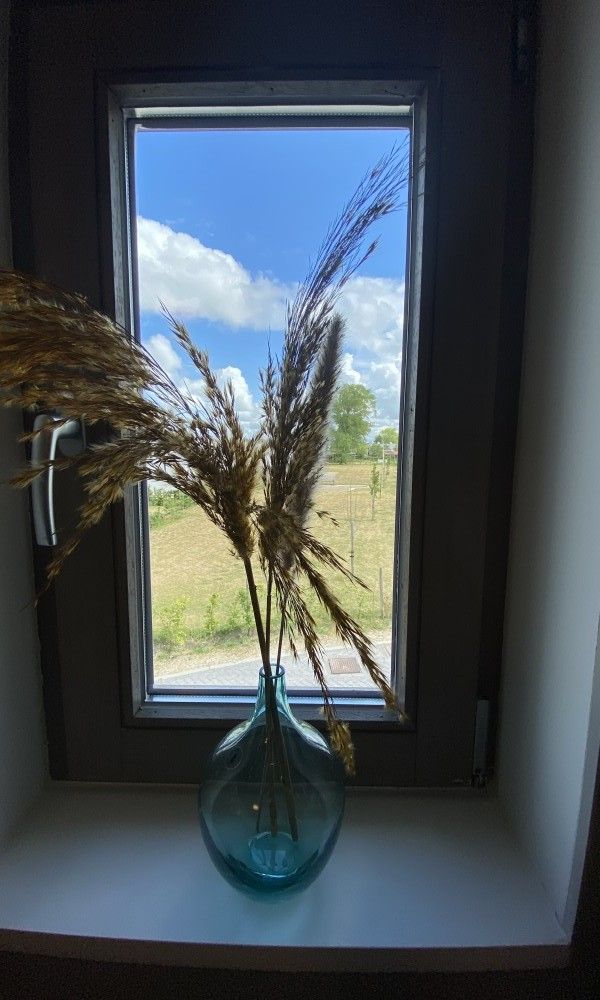 Foto 20