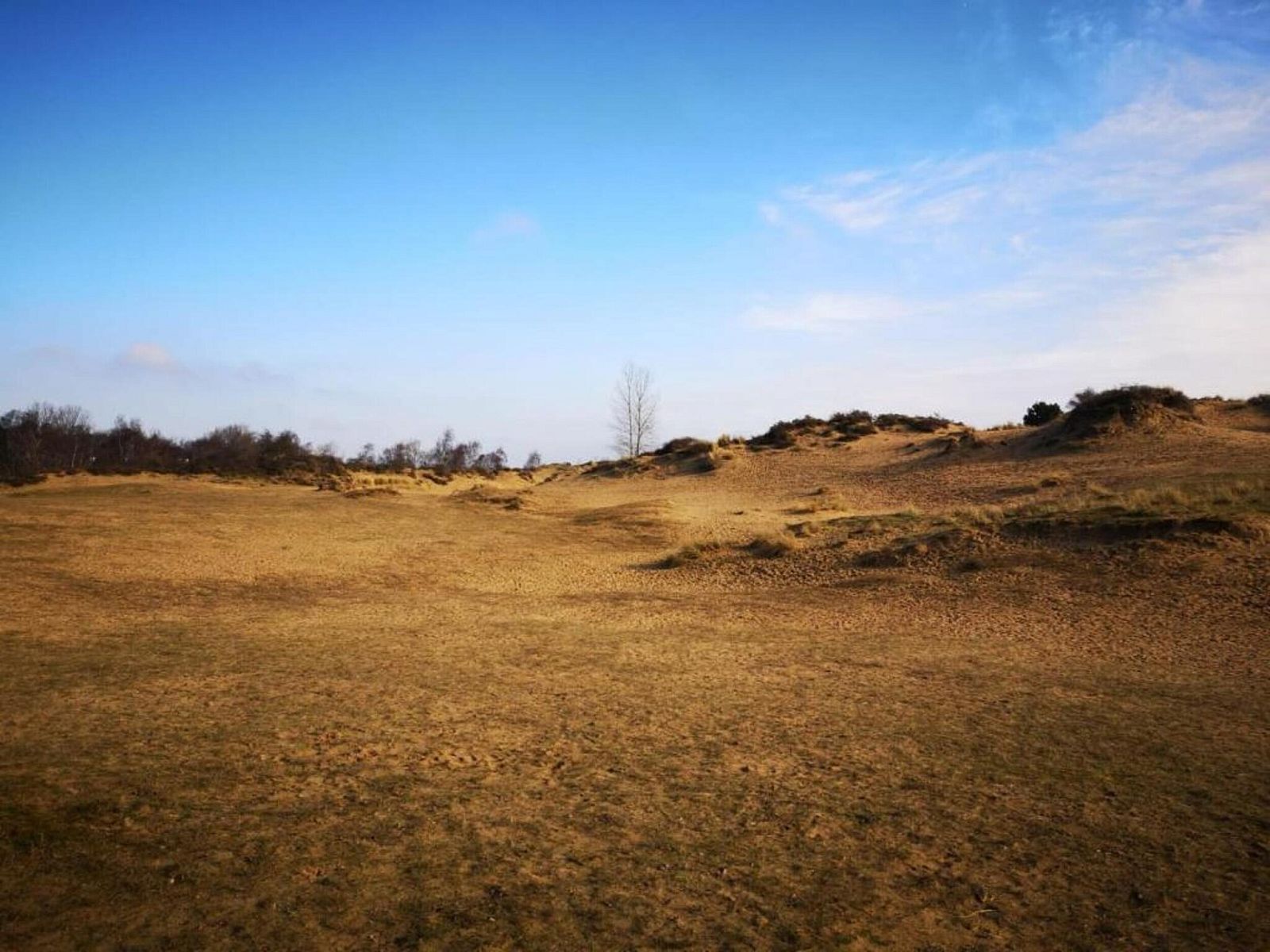 Unterkunft 019880 - Appartement Westflandern - GAUQAB/GAUA3
