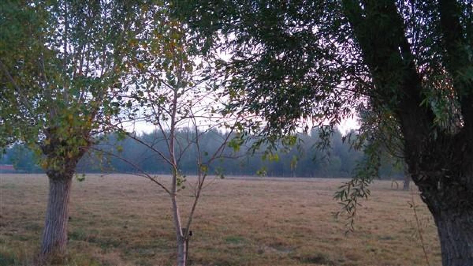 Guest house 0210609 - Holiday property East Flanders - BE005