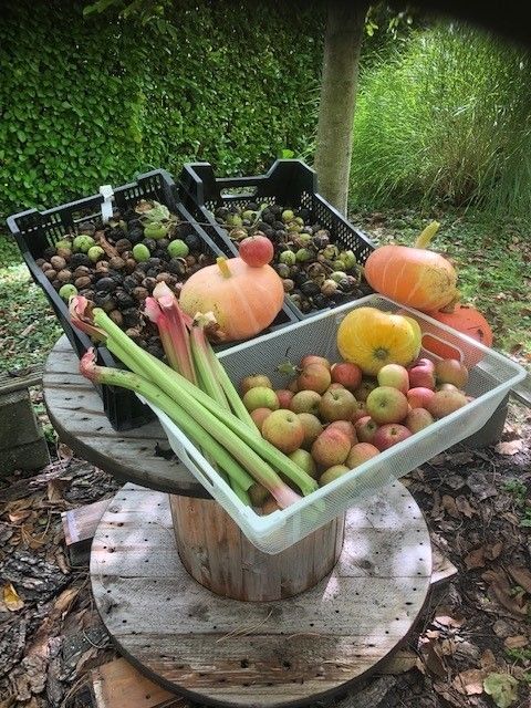 Frische Ernte von Obst und Gemuese im Chalet Au Repeau in Moerzeke, Ostflandern.