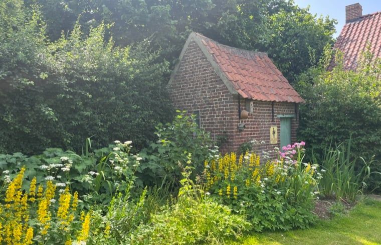 Picture 25