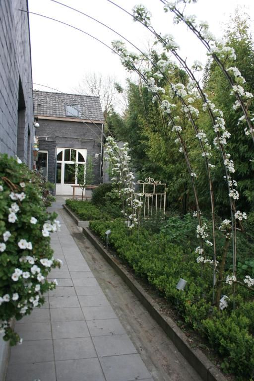 Verblijf 0302131 - Bed and breakfast Oost-Vlaanderen - Casa Lucinda