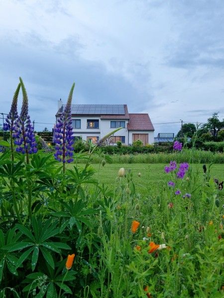 Verblijf 032202 - Vakantiewoning Vlaams-Brabant - Villa Veldzicht