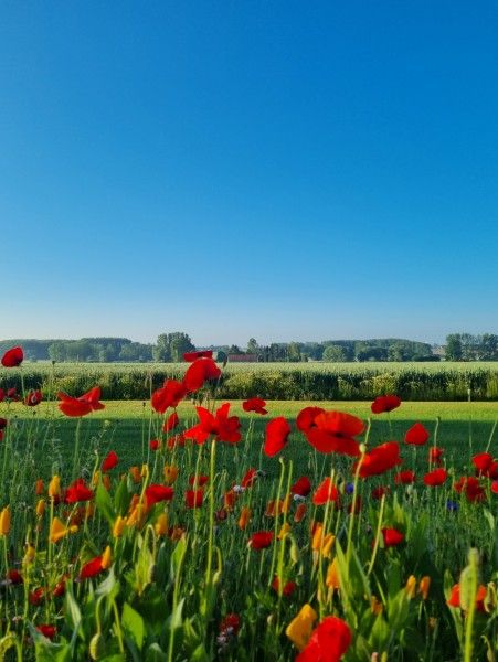 Verblijf 032202 - Vakantiewoning Vlaams-Brabant - Villa Veldzicht