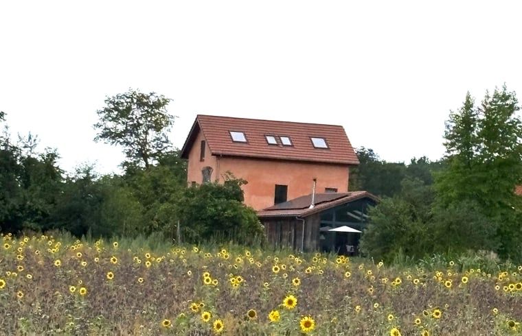 Image 22