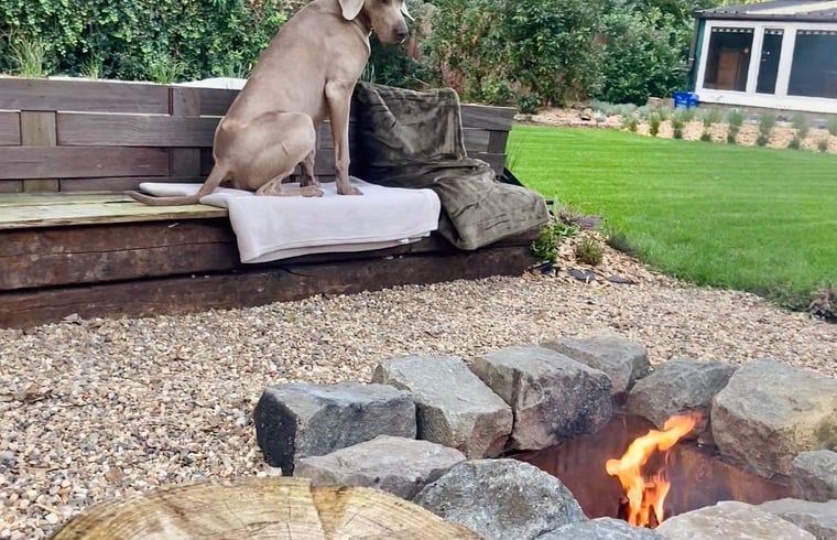 Outdoor area with fire pit in Cottage in Merksplas, cottage in Antwerp, ideal for relaxation in nature.