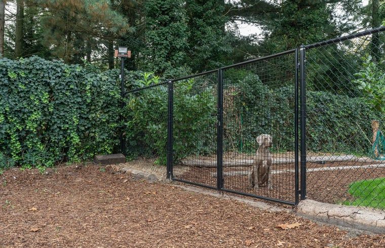 Guest house 040622 - Holiday property Antwerp - Huisje in Merksplas