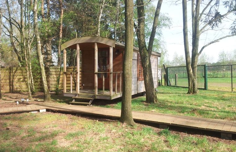 Guest house 040623 - Holiday property Antwerp - Huisje in Merksplas