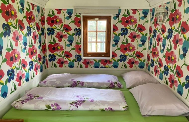 Guest house 040623 - Holiday property Antwerp - Huisje in Merksplas