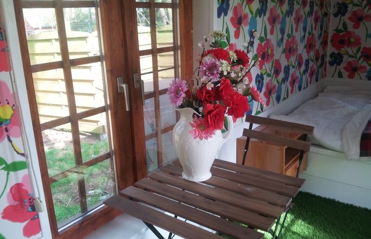 Guest house 040623 - Holiday property Antwerp - Huisje in Merksplas