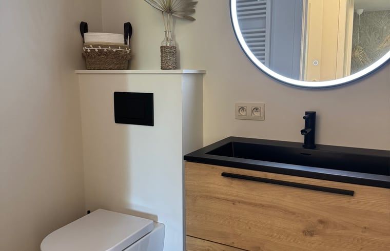 Modern bathroom in Holiday Home in Merksplas, Antwerp, with stylish sink and toilet, ideal for a comfortable stay in Belgium.