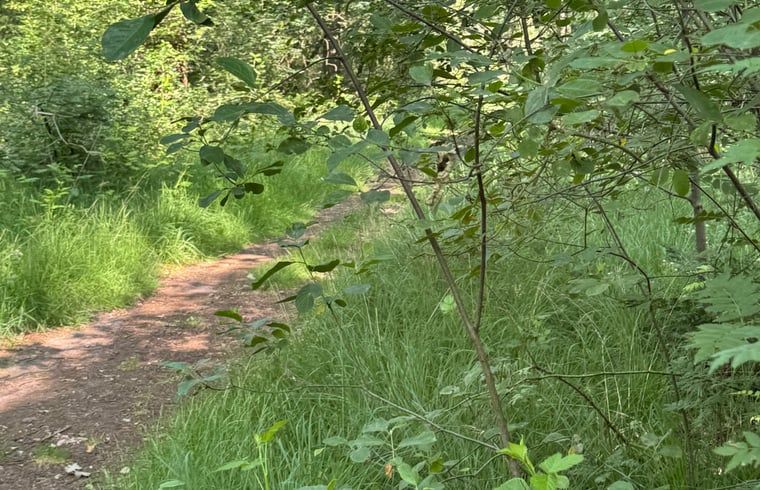 Guest house 040625 - Holiday property Antwerp - Vakantiehuis in Merksplas