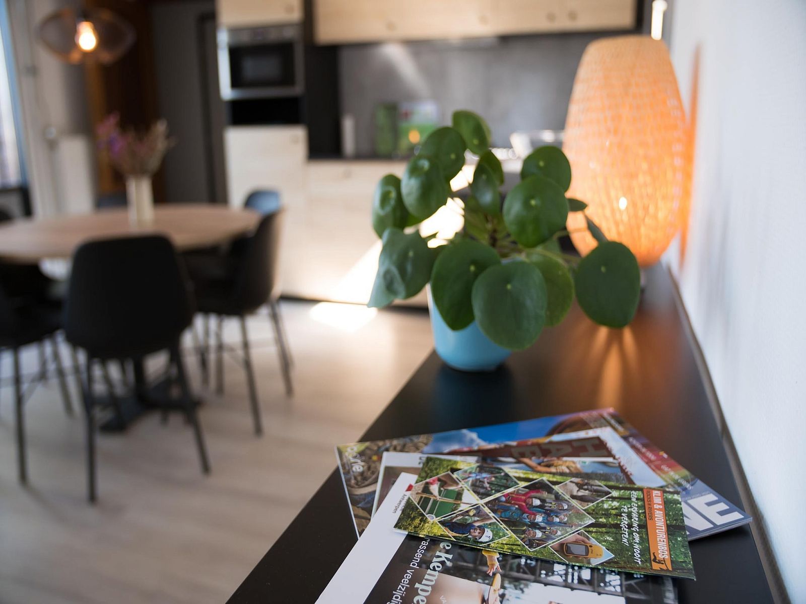Verblijf 042309 - Vakantiewoning Antwerpen - Luxe Lodges