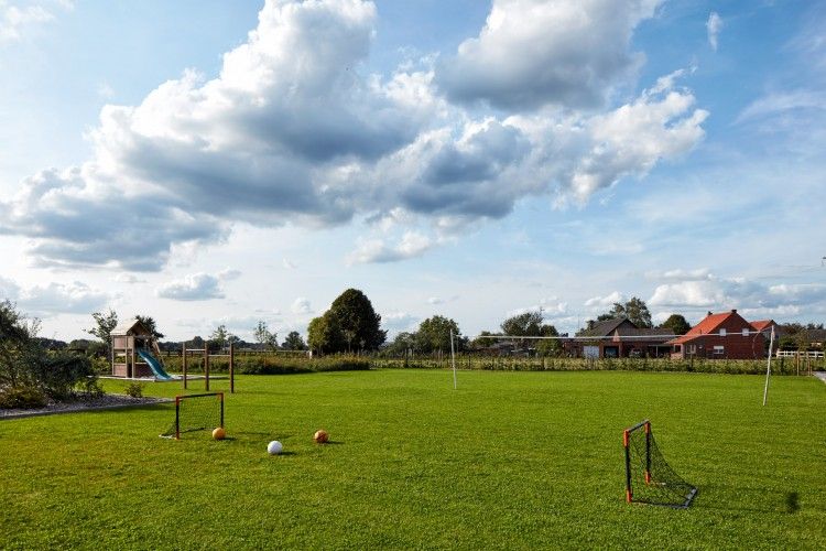 Vast playing field at Driehoekshoeve vacation home in Kasterlee, Antwerp for sports and games.