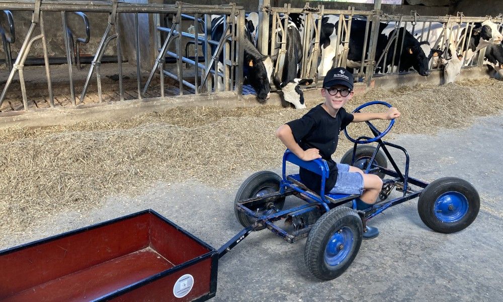 Ein Kind faehrt Go-Kart in De Drieshoeve, einem Ferienhaus in Kasterlee, Antwerpen.