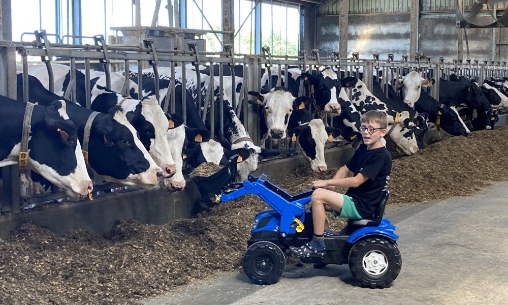 Gokart-Spass mit Kindern in De Drieshoeve, Ferienhaus in Kasterlee, Antwerpen.