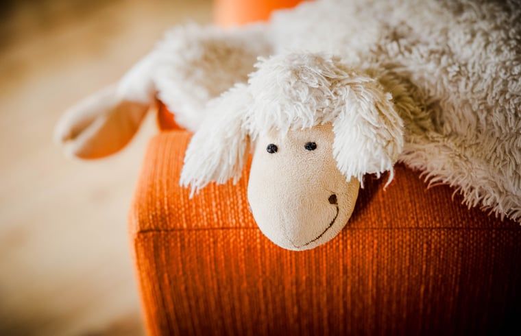 Gemuetliches Interieur des Huisje in Kasterlee, Antwerpen, mit einer niedlichen Regaldekoration auf einer orangefarbenen Bank.