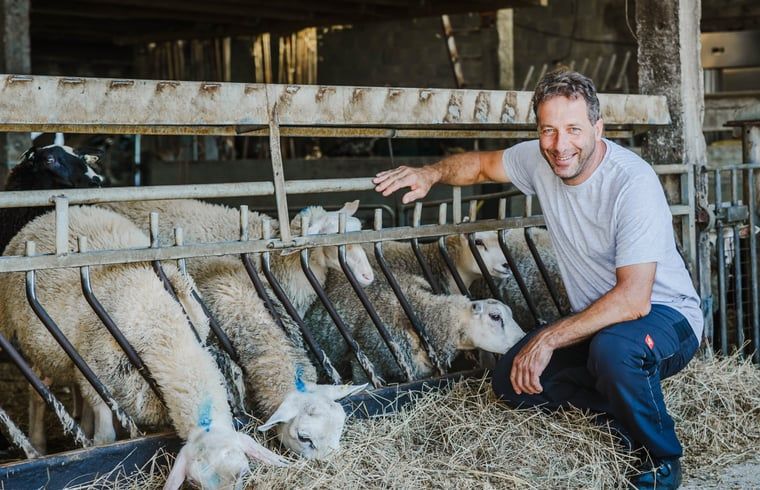 Unterkunft 042620 - Ferienhaus Antwerpen - Huisje in Kasterlee