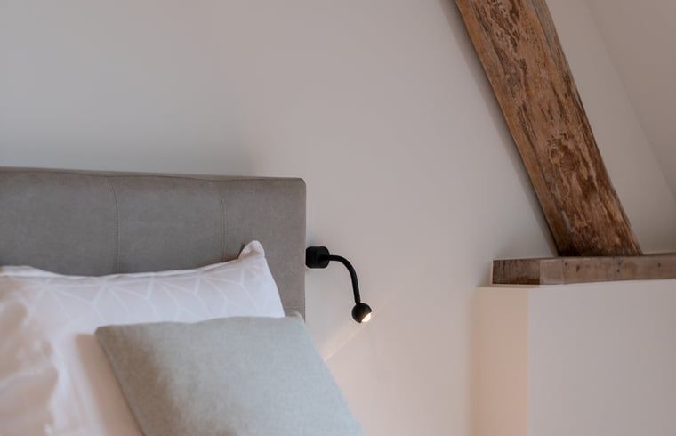 Guest house 042621 - Holiday property Antwerp - Vakantiehuis in Kasterlee