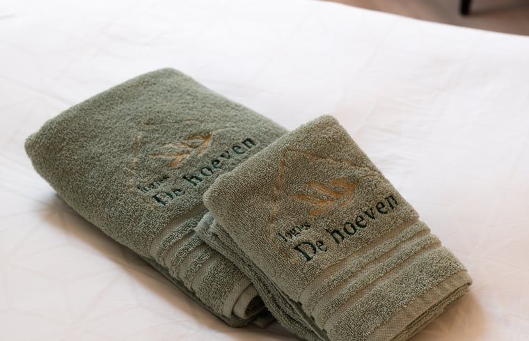 Gemuetliches Schlafzimmer im Ferienhaus in Kasterlee, Antwerpen, mit luxurioesen Handtuechern fuer einen komfortablen Aufenthalt.