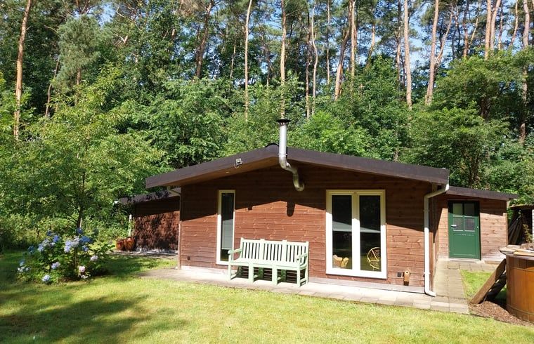 Ferienhaus in Herselt, umgeben von ueppiger Natur in Antwerpen, Belgien, mit einer einladenden Terrasse.