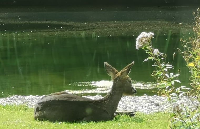 Image 23