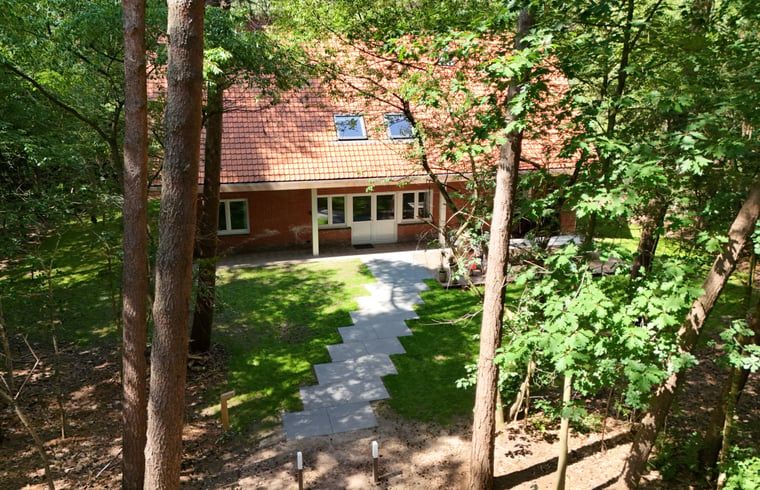 Cottage in Wuustwezel, charming cottage in Antwerp with access to a beautiful forest path and nature.