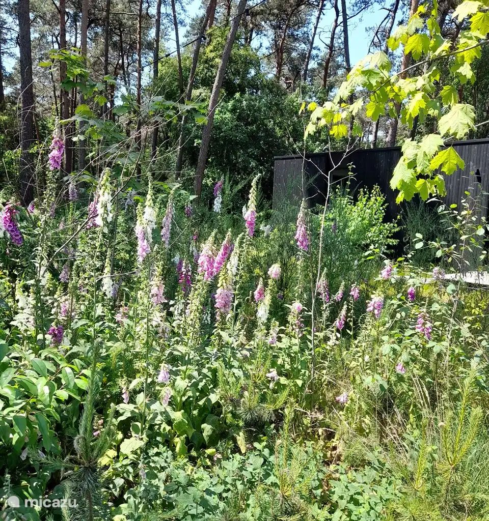 Unterkunft 044212 - Ferienhaus Antwerpen - Black Box