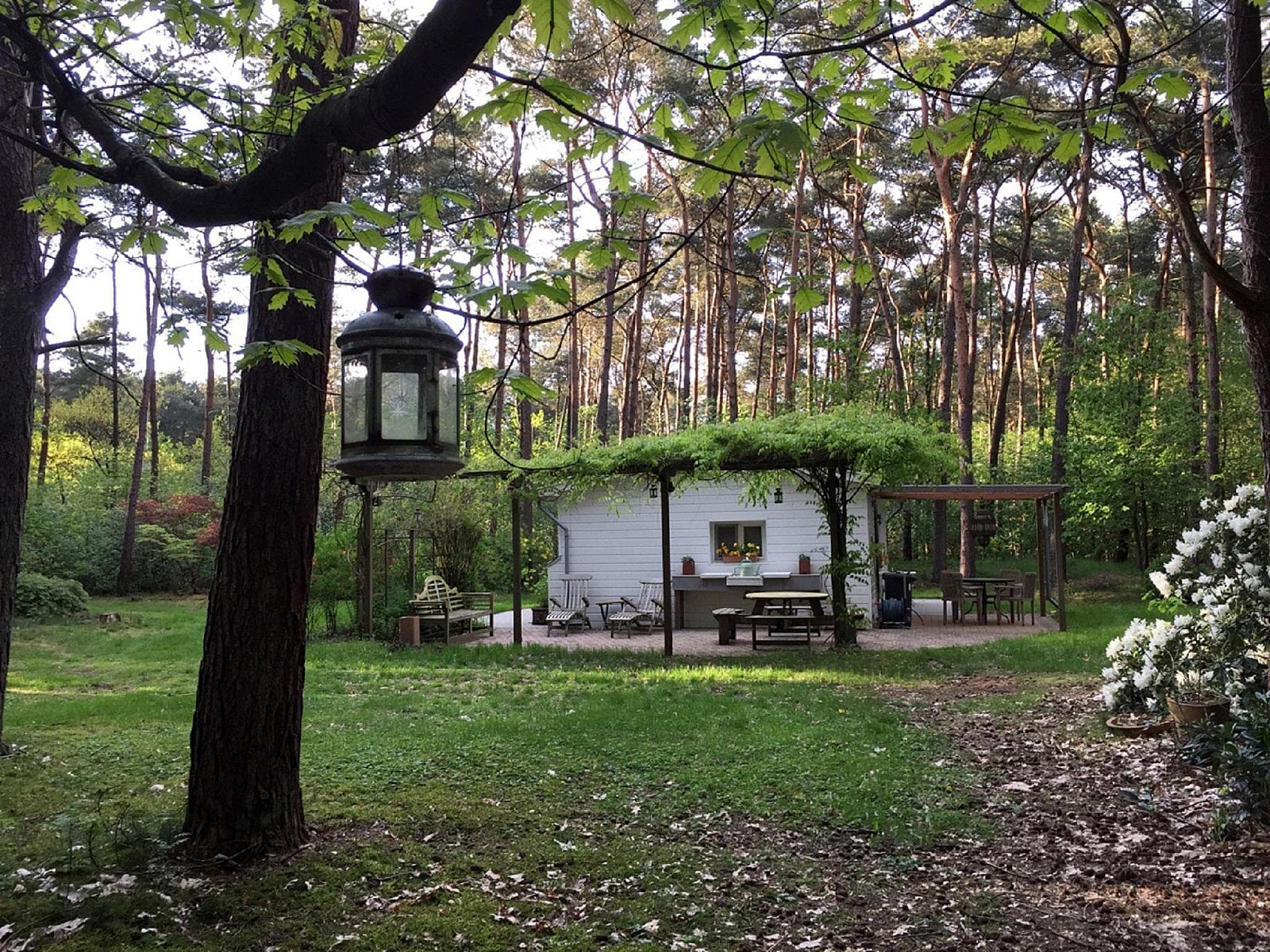 Guest house 044215 - Bungalow Antwerp - Het Beerenbos