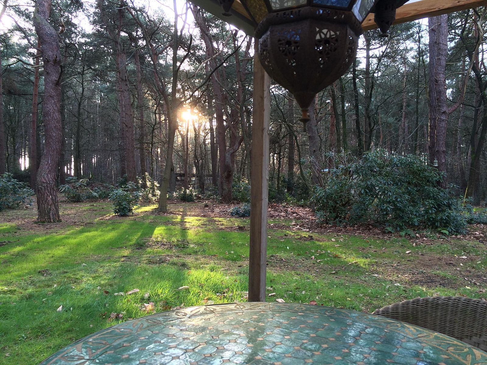 Guest house 044215 - Bungalow Antwerp - Het Beerenbos