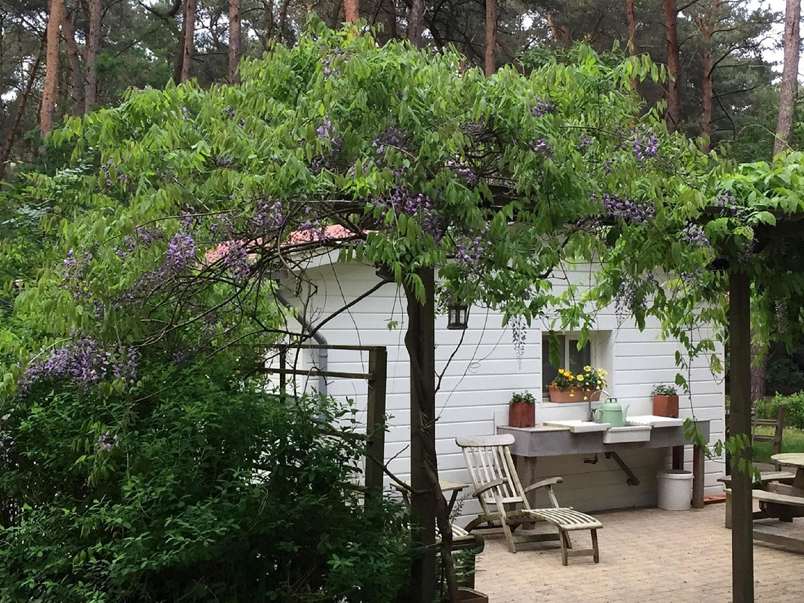 Guest house 044215 - Bungalow Antwerp - Het Beerenbos