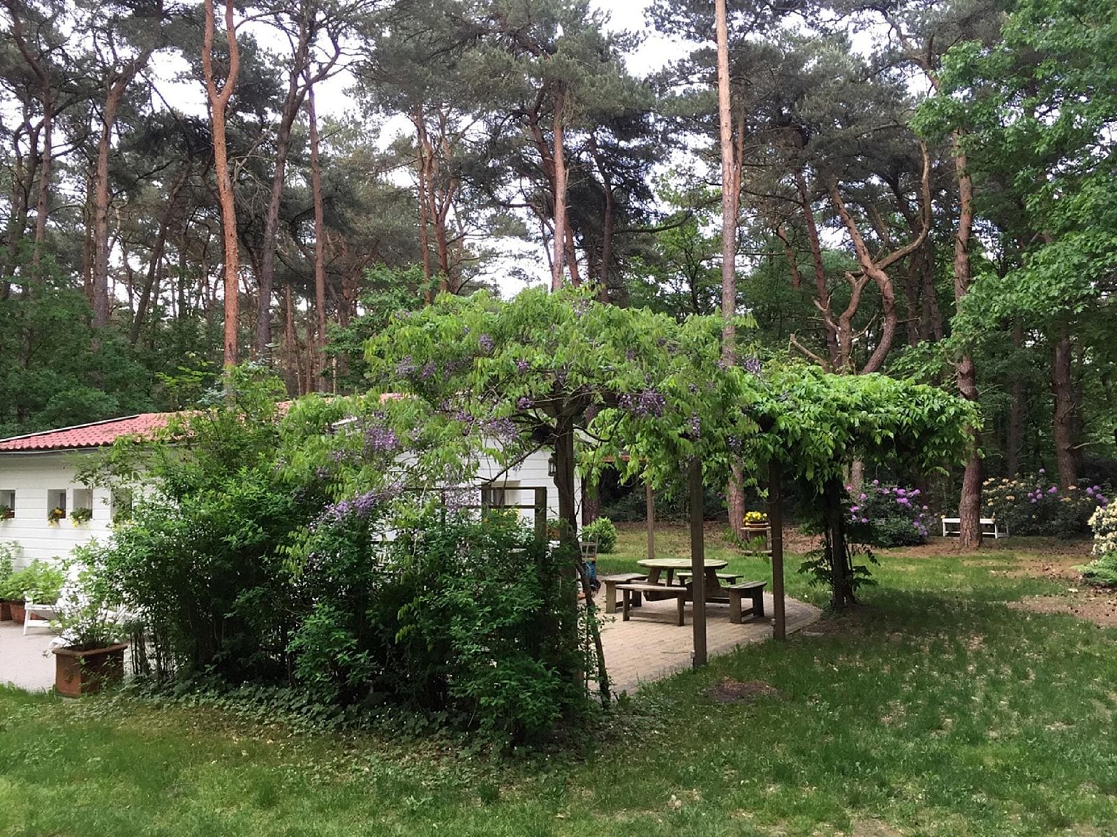 Guest house 044215 - Bungalow Antwerp - Het Beerenbos