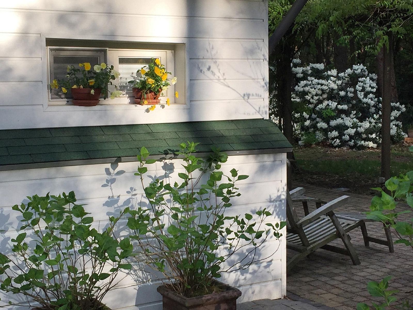 Guest house 044215 - Bungalow Antwerp - Het Beerenbos