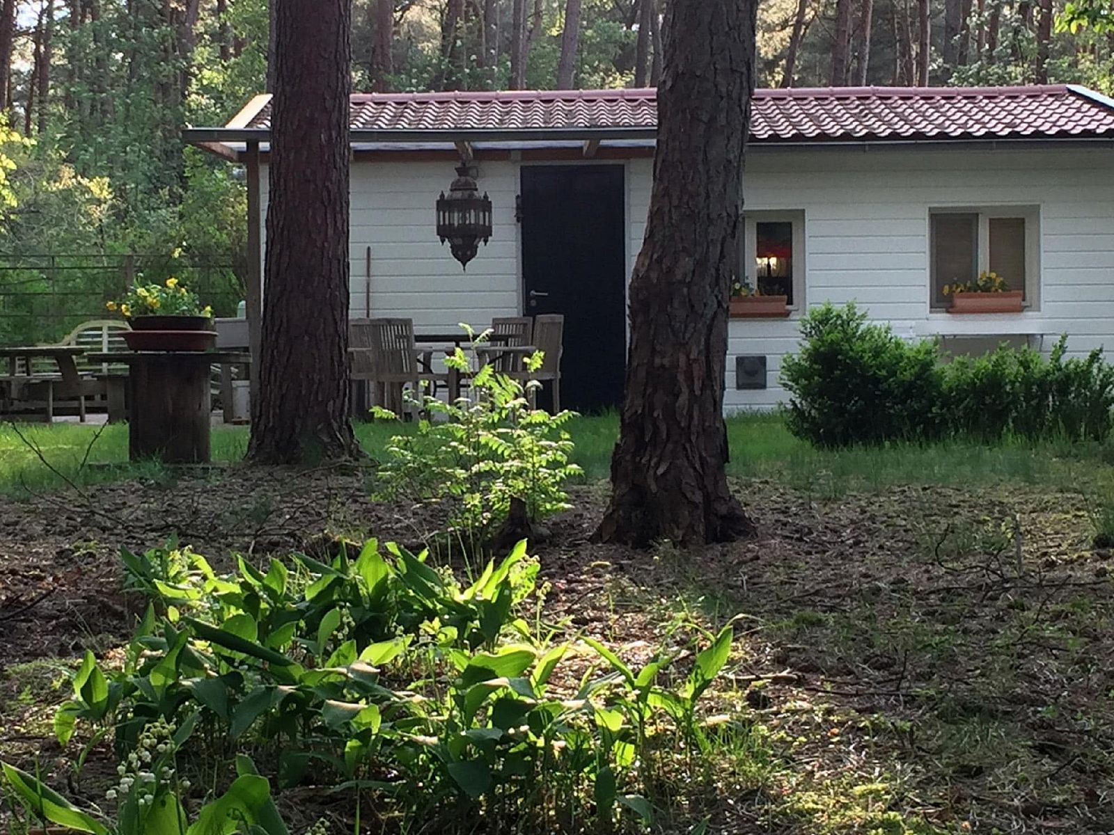Guest house 044215 - Bungalow Antwerp - Het Beerenbos